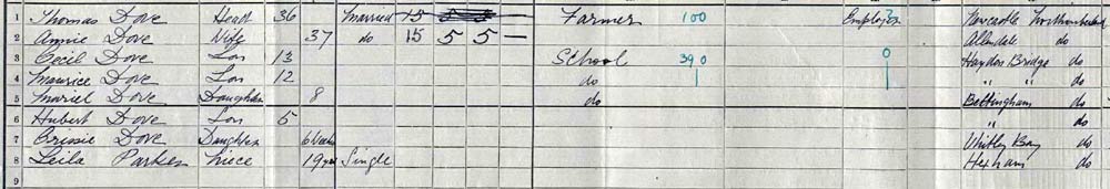 1911 census dove