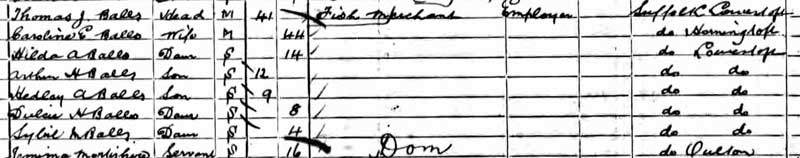 1901 census balls
