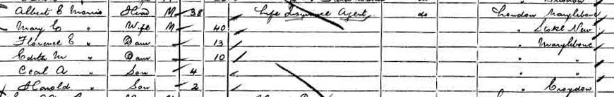 1901 census